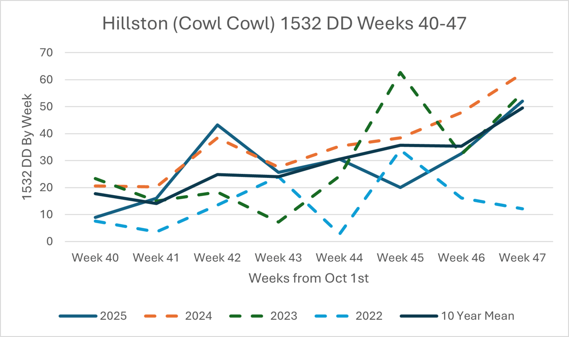 hillston - south newsletter
