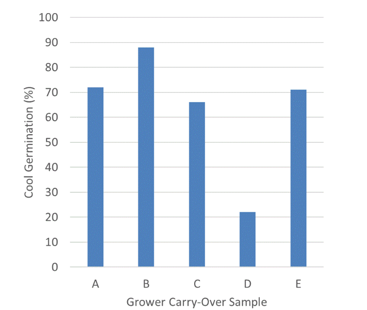 Cool germination results from 2025 for five submitted carry-over samples of the same 2024 AusLOT.