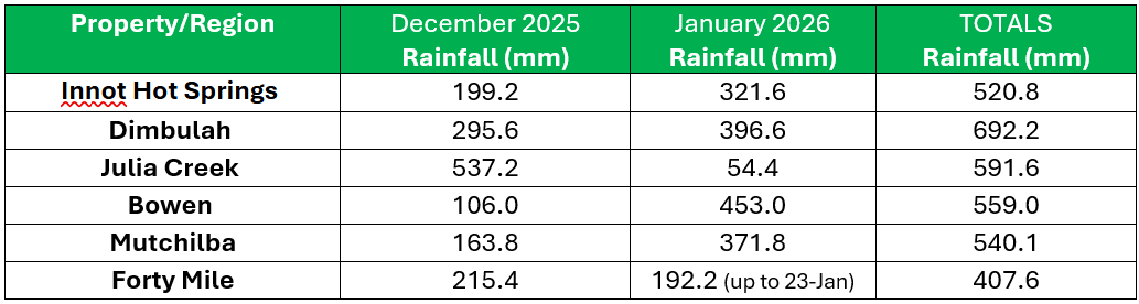 Screenshot 2026-02-06 141647