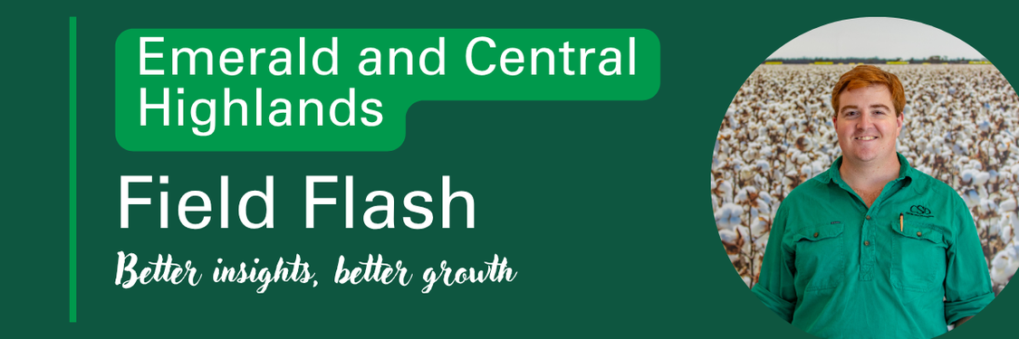 Emerald and Central Highlands (1)